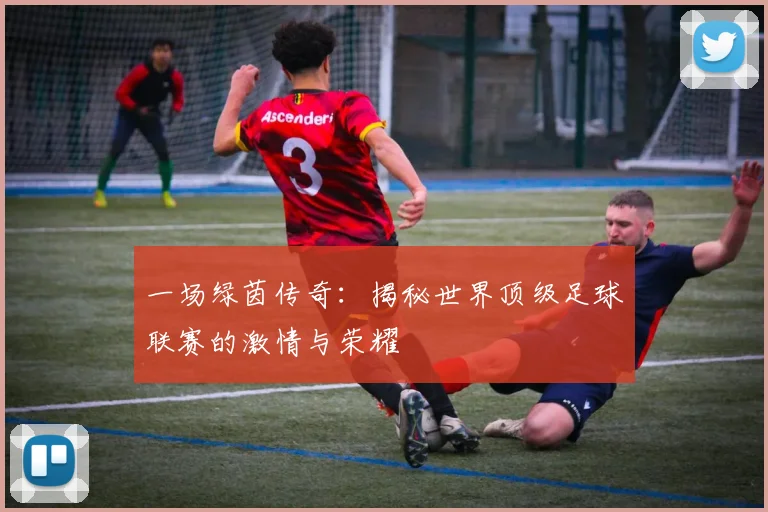 一场绿茵传奇：揭秘世界顶级足球联赛的激情与荣耀