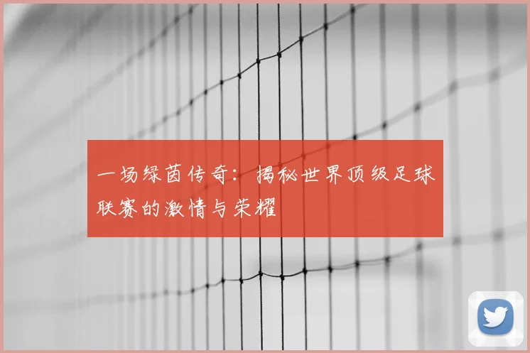 一场绿茵传奇：揭秘世界顶级足球联赛的激情与荣耀